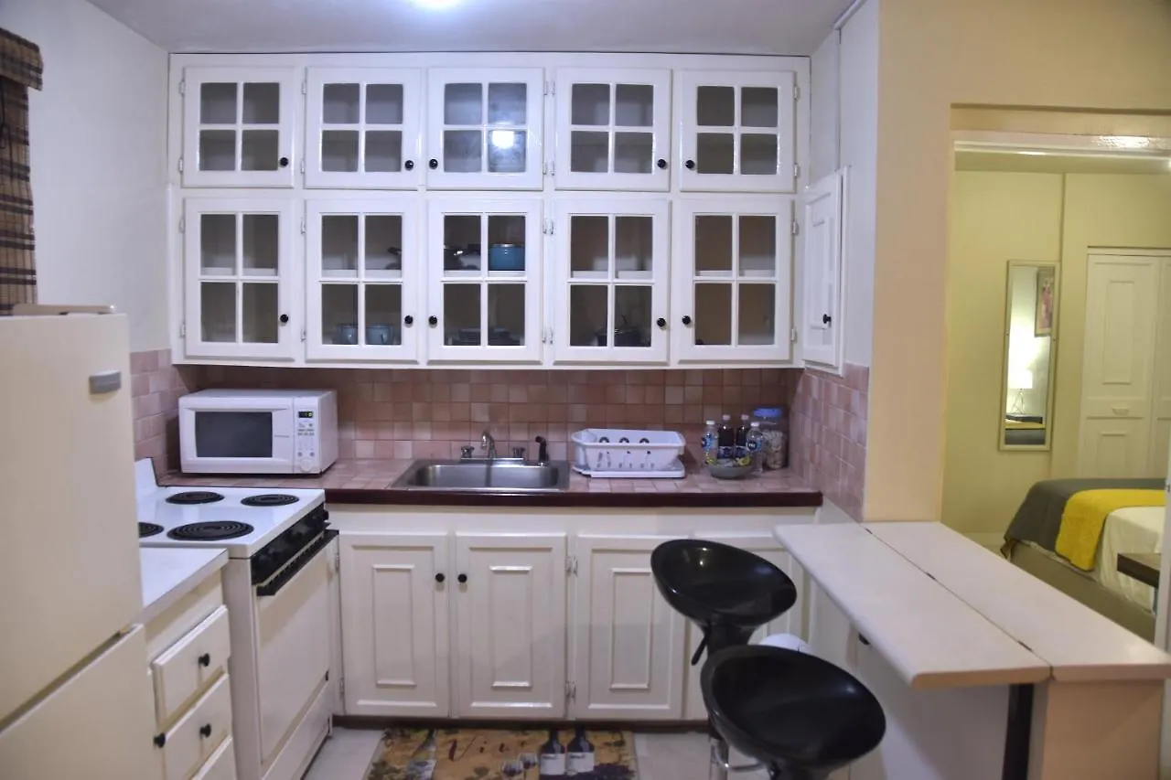 The Flat@Waterloo Daire Kingston Jamaika